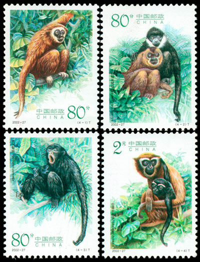 2002-27.jpg 2002-27.jpg