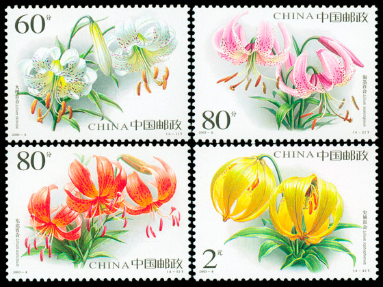 2003-4.jpg 2003-4.jpg