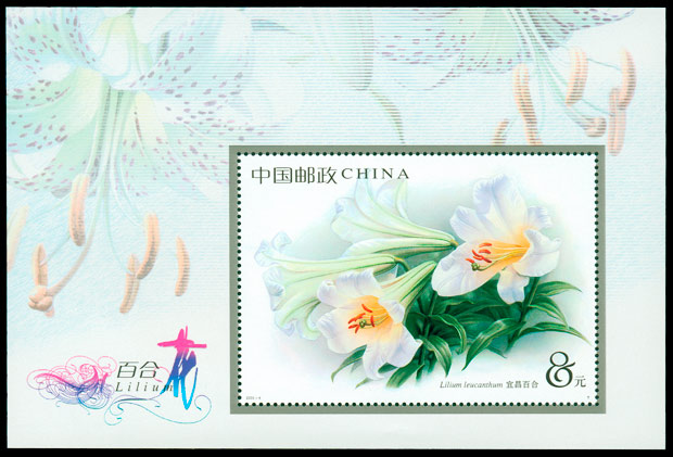 2003-4M.jpg 2003-4M.jpg