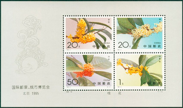 1995-19M.jpg 1995-19M.jpg